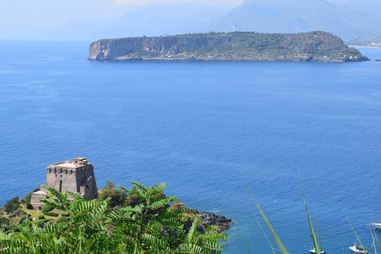 Bed & Breakfast Domus Pepe Scalea Dış mekan fotoğraf